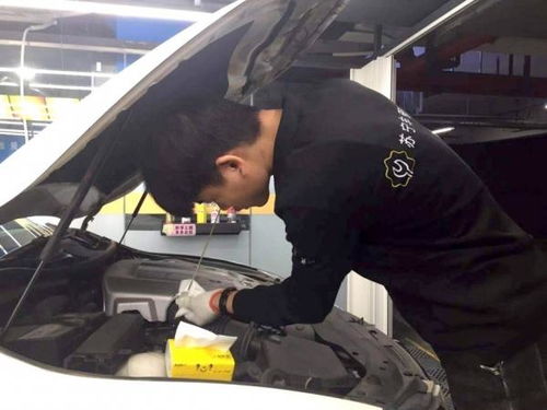 818苏宁车管家6店同开，2020年目标扩展500家加盟店，深耕汽车经纪服务